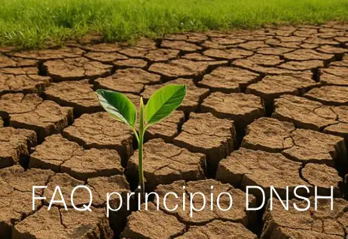 FAQ principio “Do No Significant Harm” (DNSH) FAQ principio “Do No Significant Harm” (DNSH)